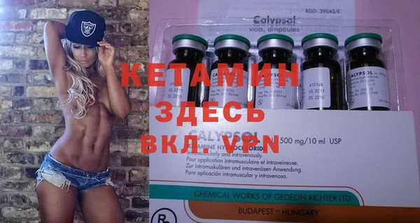 шишки Балахна