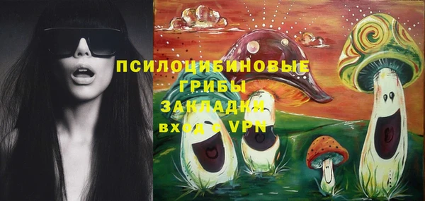 шишки Балахна