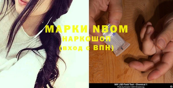 шишки Балахна
